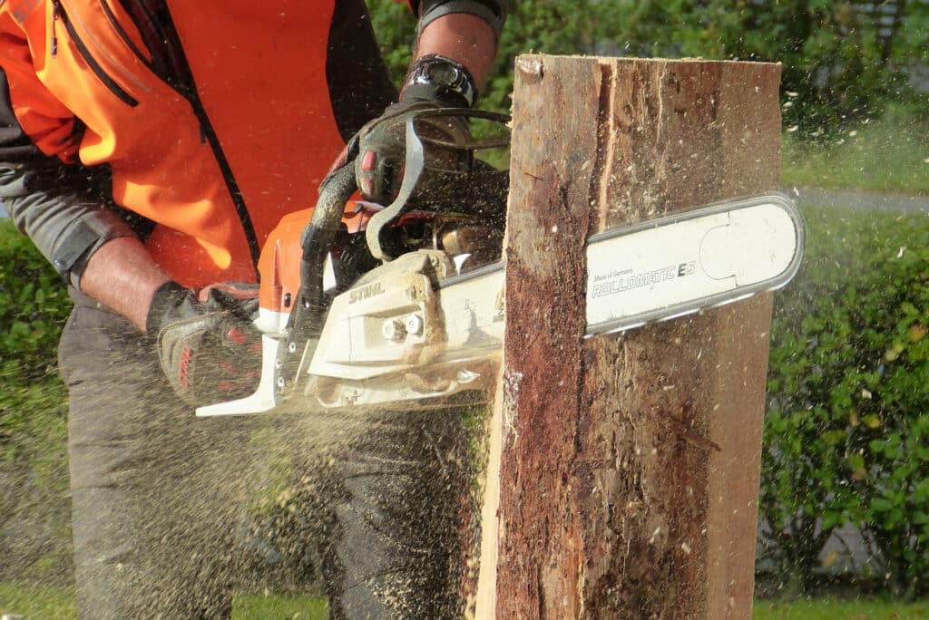 tree being broken down with chainsaw 